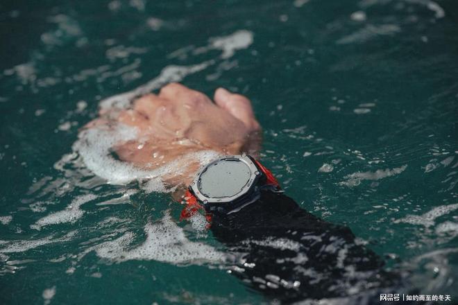 榜：专业赛道与全民趋势的交汇2025主流